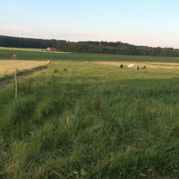 Bild: Stall in  Dünzelbach