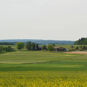 Bild: Stall in  Laubach