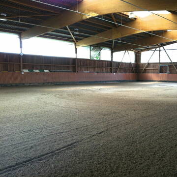 Helle Reithalle mit gepflegtem Boden