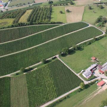 Bild: Stall in  Schliengen