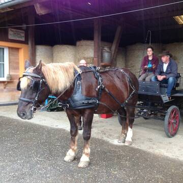 Startklare Kutschenausfahrt