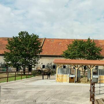 Bild: Stall in  Groß-Gerau