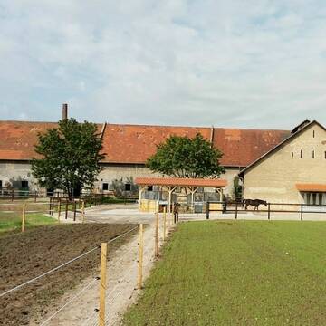 Bild: Stall in  Groß-Gerau