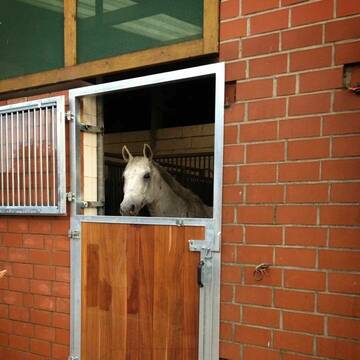 Bild: Stall in  Burgwedel