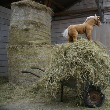 Bild: Stall in  Rees