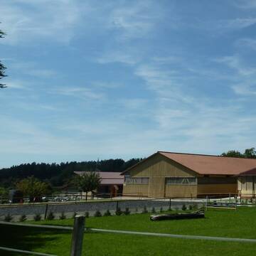 Bild: Stall in  Neukirch