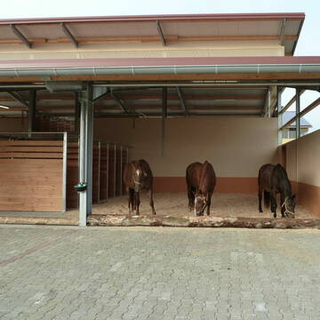 Aktiv-Laufstall