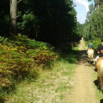 Bild: Service in  Düren