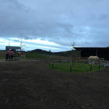 Bild: Stall in  Sinzig