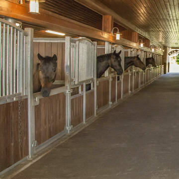 Bild: Stall in  Arlesried