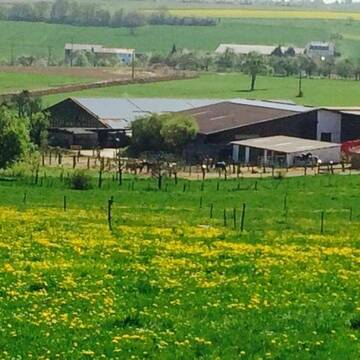 Bild: Stall in  Wiernsheim