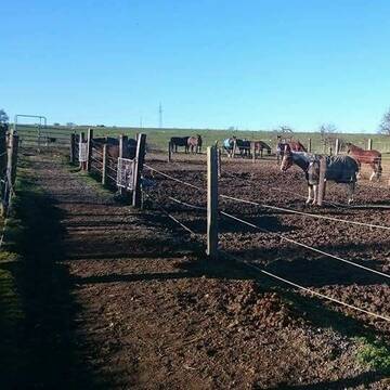 Bild: Stall in  Wiernsheim