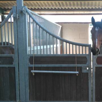 Bild: Stall in  Burscheid