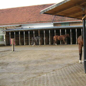 Bild: Stall in  Gilching