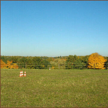 Reitpatz auf dem Zechstein  - Grasplatz ca. 50x50m