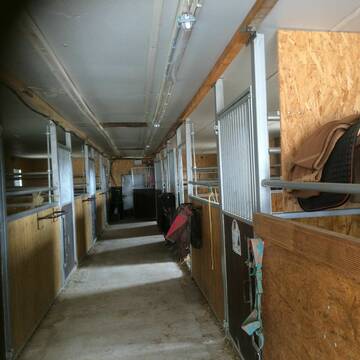 Bild: Stall in  Bitburg