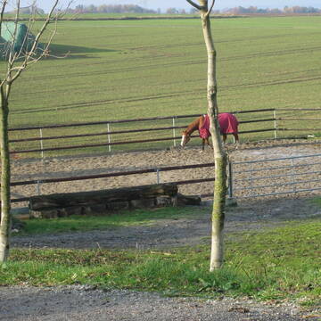 Bild: Stall in  Fröndenberg/Ruhr