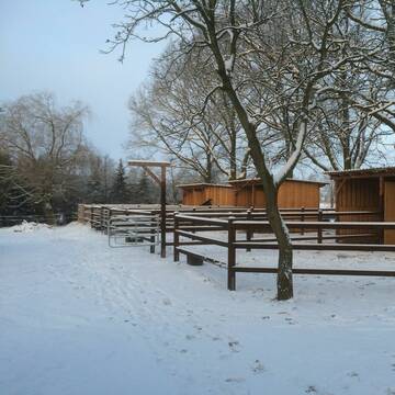 Bild: Stall in  Kolkwitz