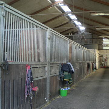 Bild: Stall in  Dorsten