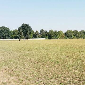 Bild: Stall in  Groß-Gerau