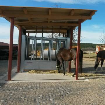 Bild: Stall in  Lauterstein
