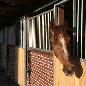 Bild: Stall in  Wardenburg