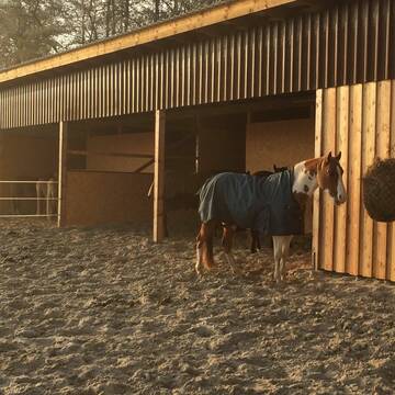 Bild: Stall in  Wardenburg