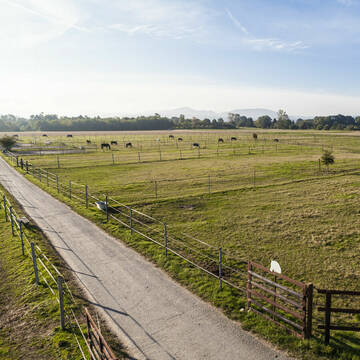 Vetrihof, Muggensturm