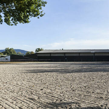 Vetrihof, Muggensturm