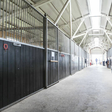 Vetrihof, Muggensturm