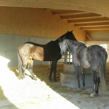 Bild: Stall in  Lauterstein