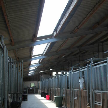 Bild: Stall in  Weyhausen