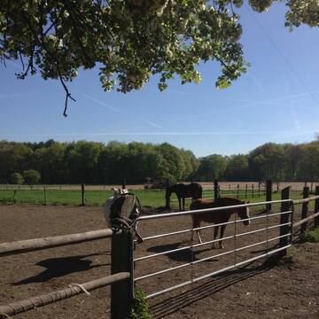 Bild: Stall in  Stuckenbusch