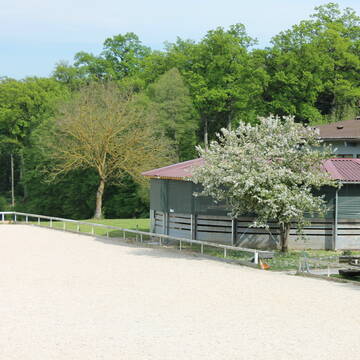 Bild: Stall in  Schönaich