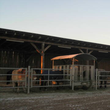 Bild: Stall in  Rheinbach