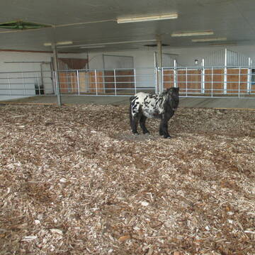 Bild: Stall in  Rheinbach