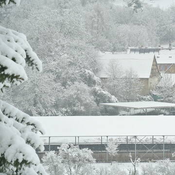 Bild: Stall in  Altenbamberg