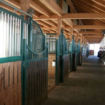 Bild: Stall in  Schwabsoien