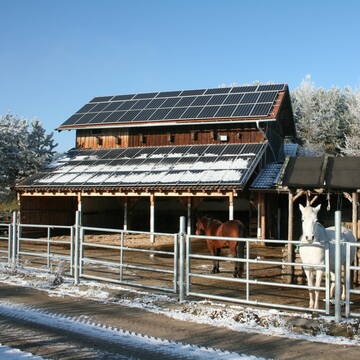 Bild: Stall in  Schwabsoien