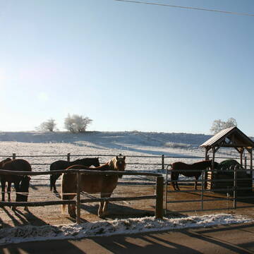 Bild: Stall in  Schwabsoien