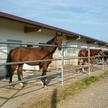 Jede Box mit eigenem Außenpaddock