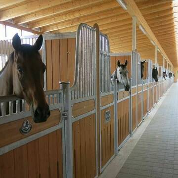 Bild: Stall in  Schweitenkirchen
