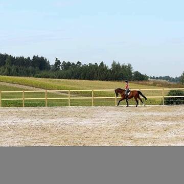 Bild: Stall in  Schweitenkirchen