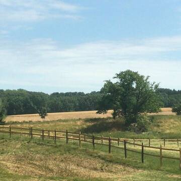 Bild: Stall in  Ense