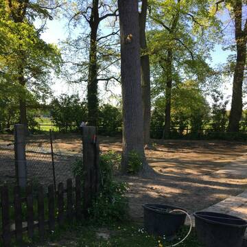 Idyllischer bebaumter Paddock