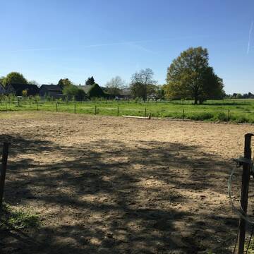 Reitplatz mit Blick auf die Weiden