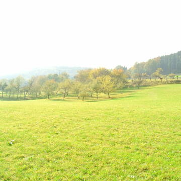 Bild: Stall in  Kapellhaus