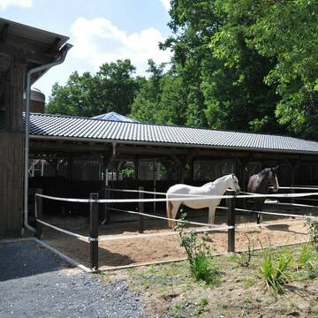 Bild: Stall in  Refrath