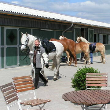 Bild: Stall in  Burgdorf