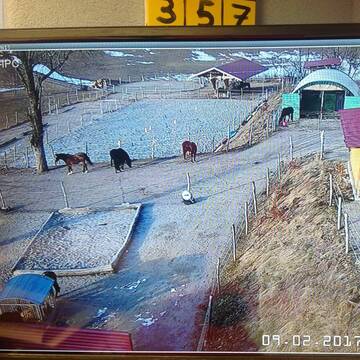 Bild: Stall in  St. Peter